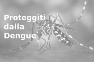 Proteggiti dalla dengue: domande e risposte per saperne di più