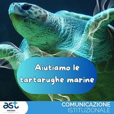 AST AN - Ritrovamento di Tartarughe Marine